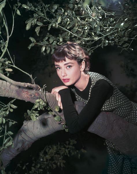 audrey hepburn sabrina